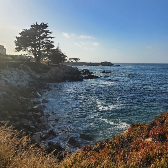 Meet your Posher, Ellen - Picture 2 of 2